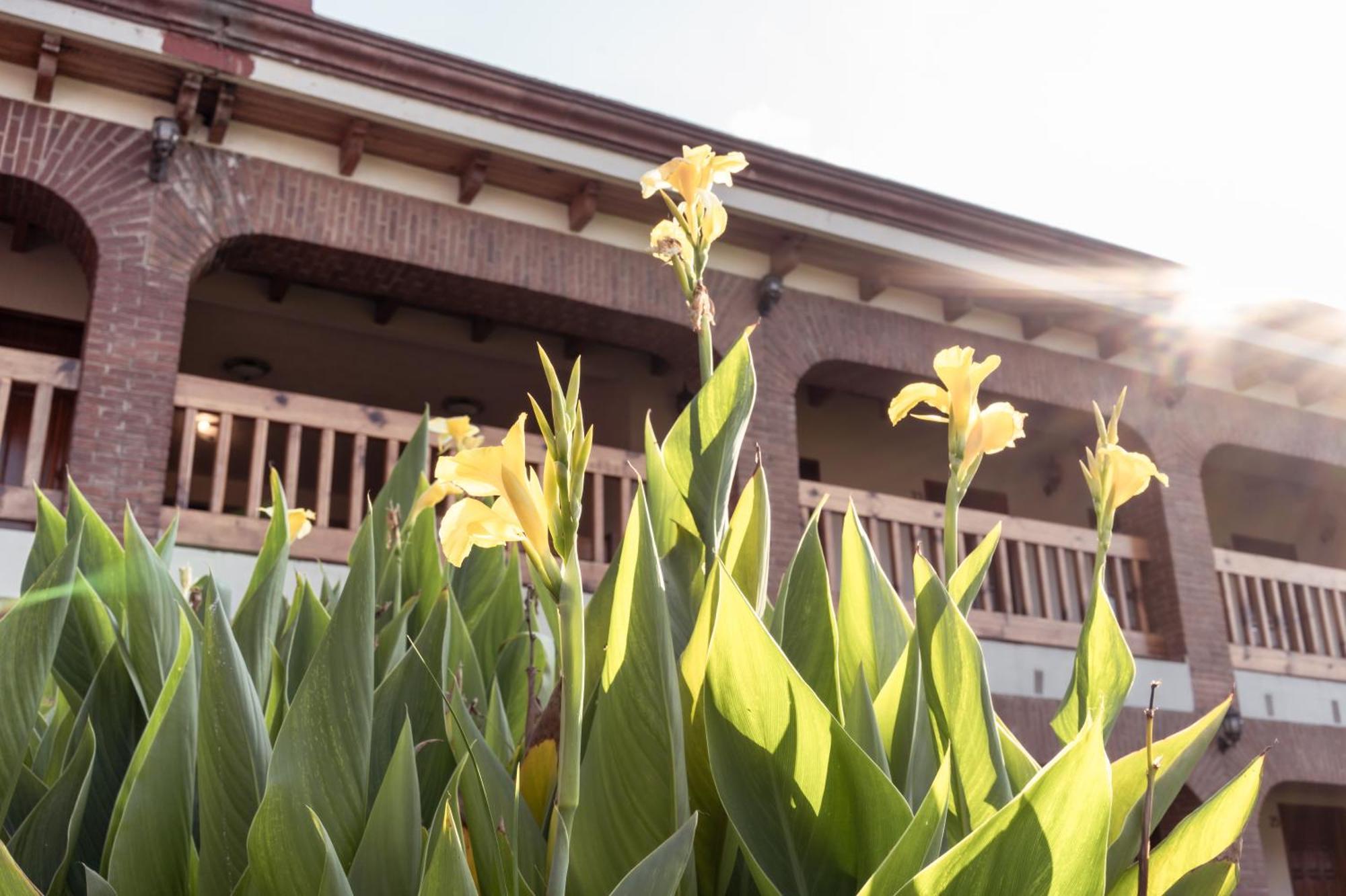 Hotel La Casona Jilotepec de Abasolo Esterno foto
